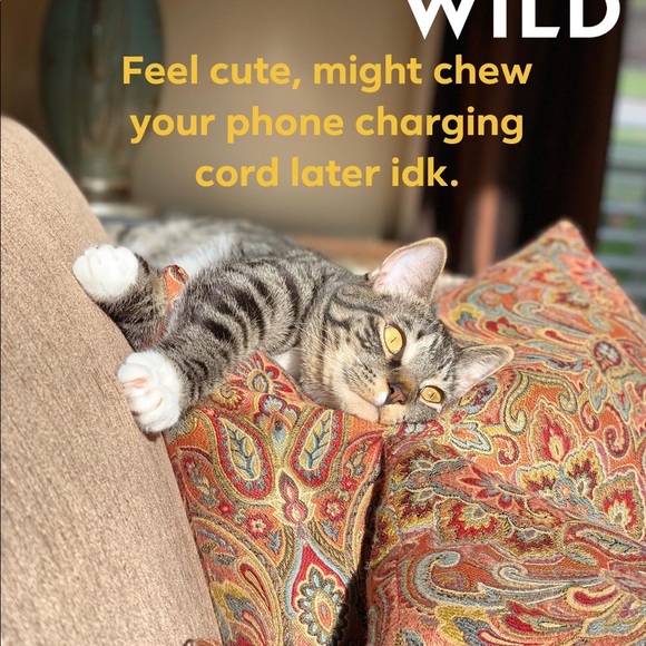 BUY MY TRASH! - Picture 12 of 16